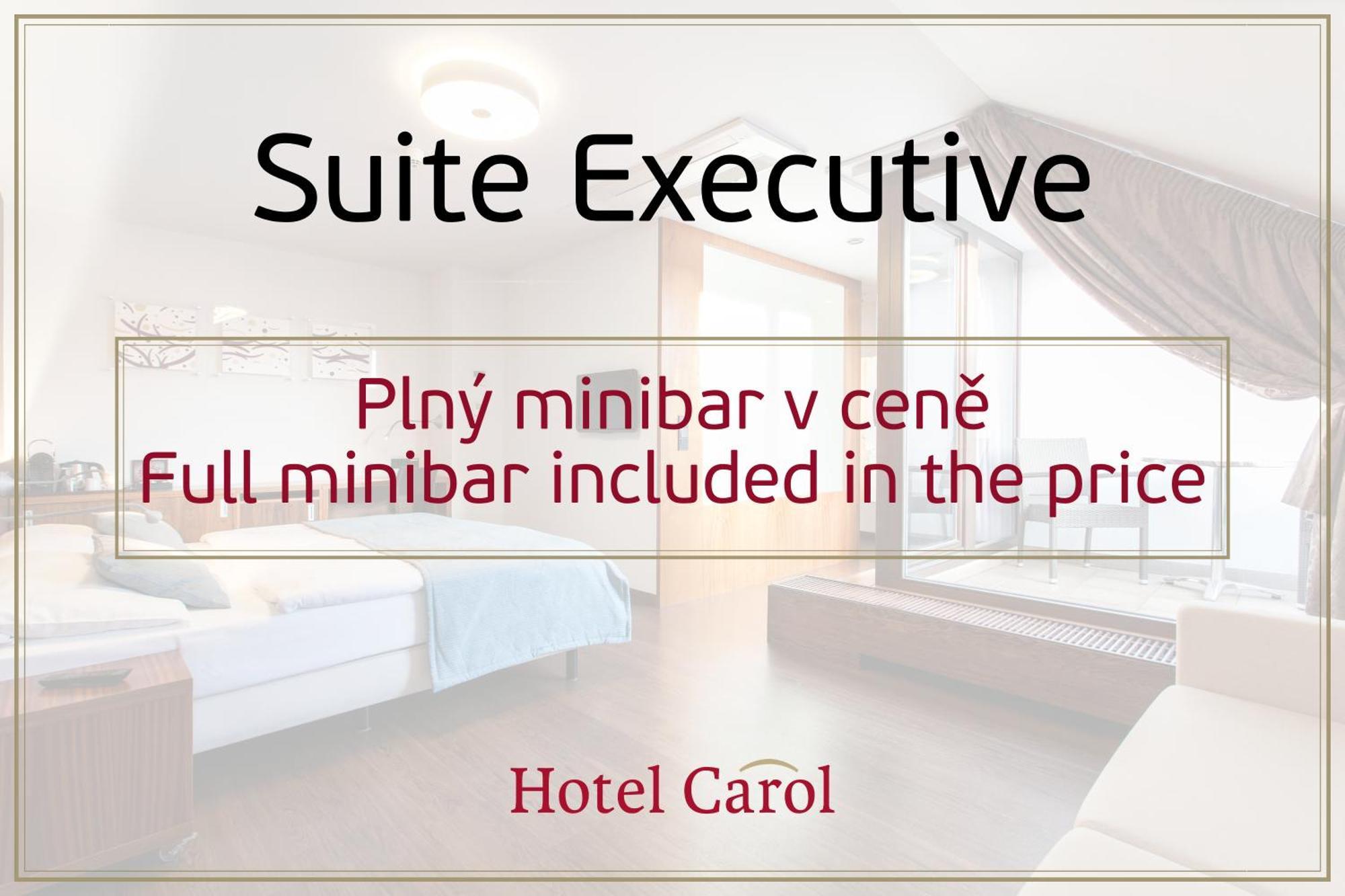 Hotel Carol Praha Rom bilde